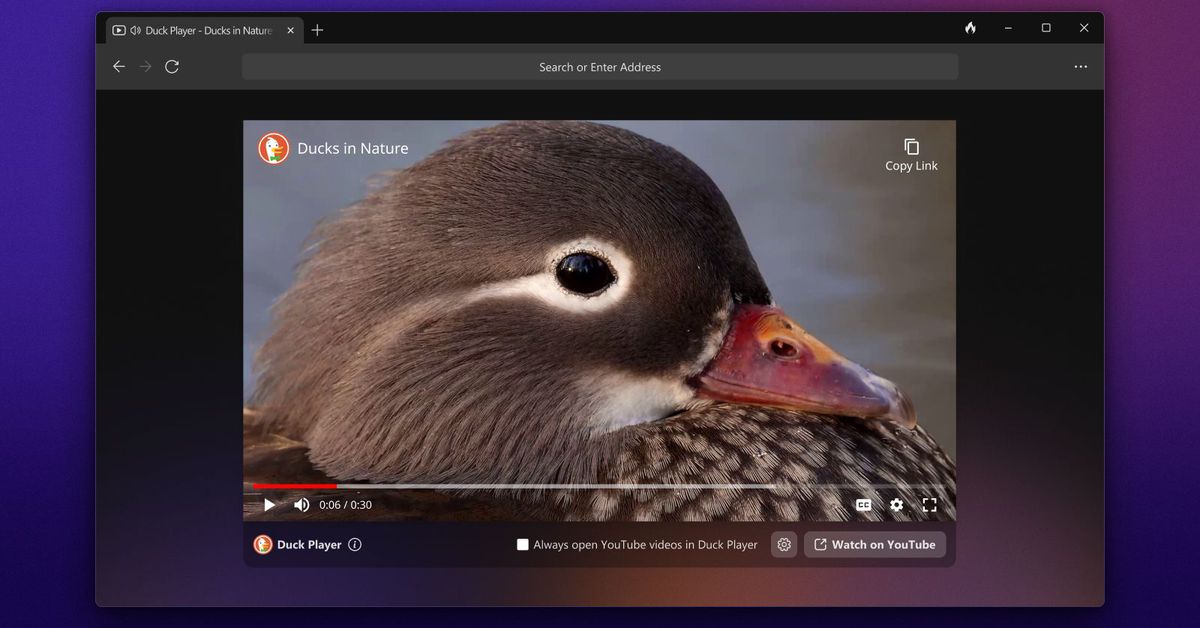 DuckDuckGo's privacy-focused browser is now available for Windows.
